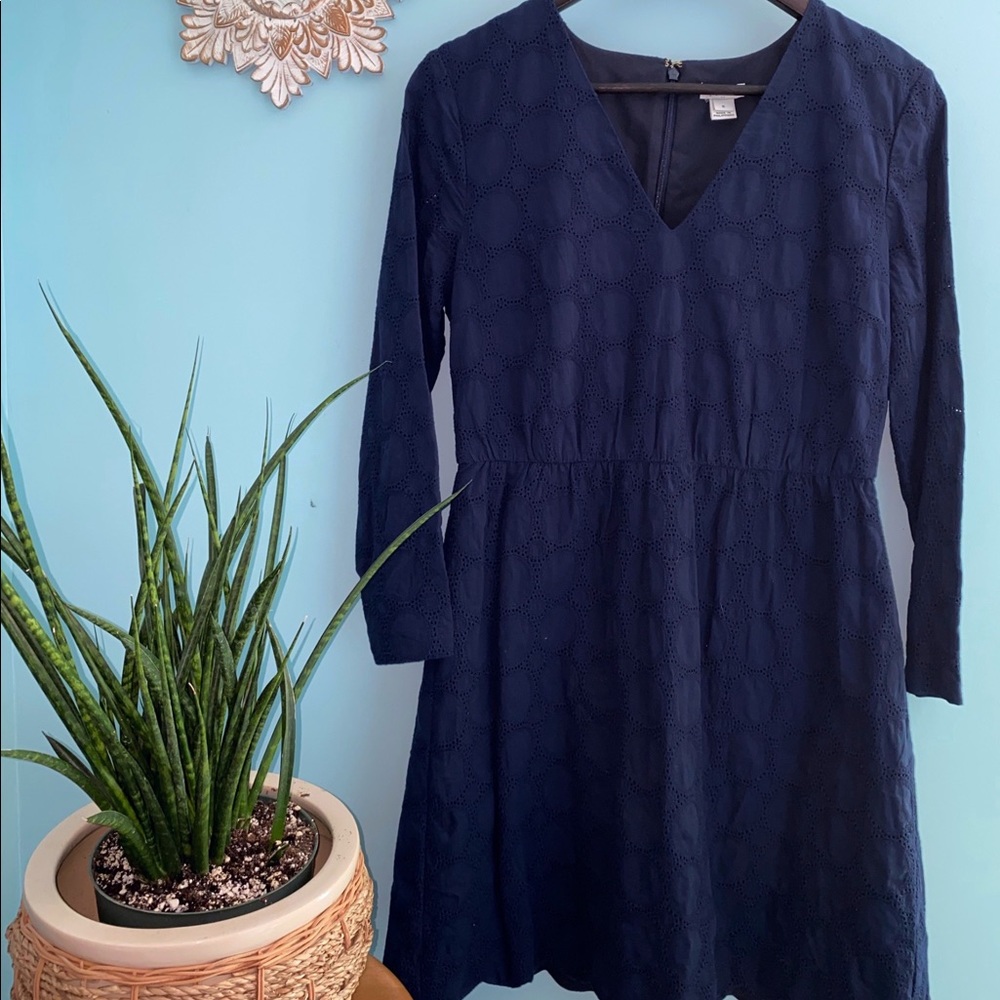 J Crew long sleeve dress